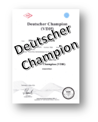 Dchampion