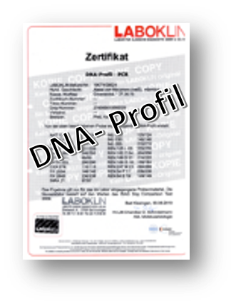 dna_profil
