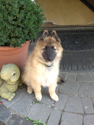 Amy