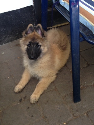 Amy