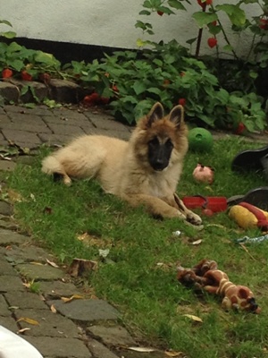 Amy