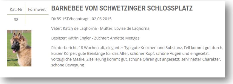 Baden Baden 2015