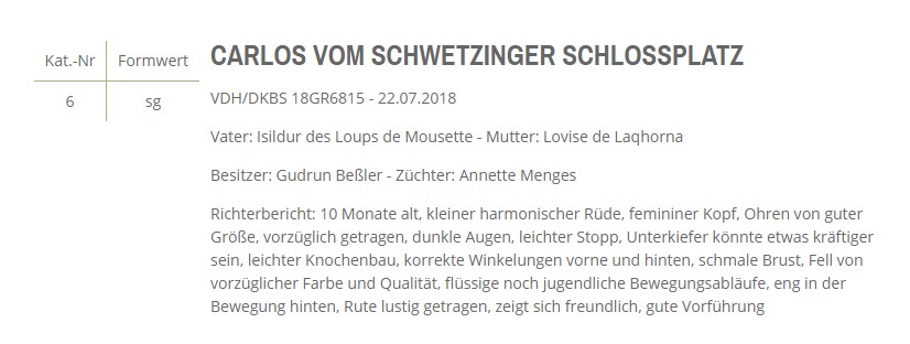 Darmstadt 2019