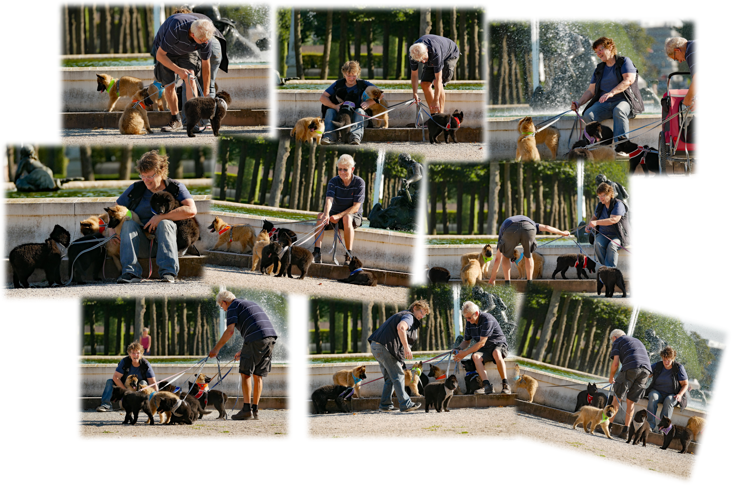 Puppies im Schlossgarten
