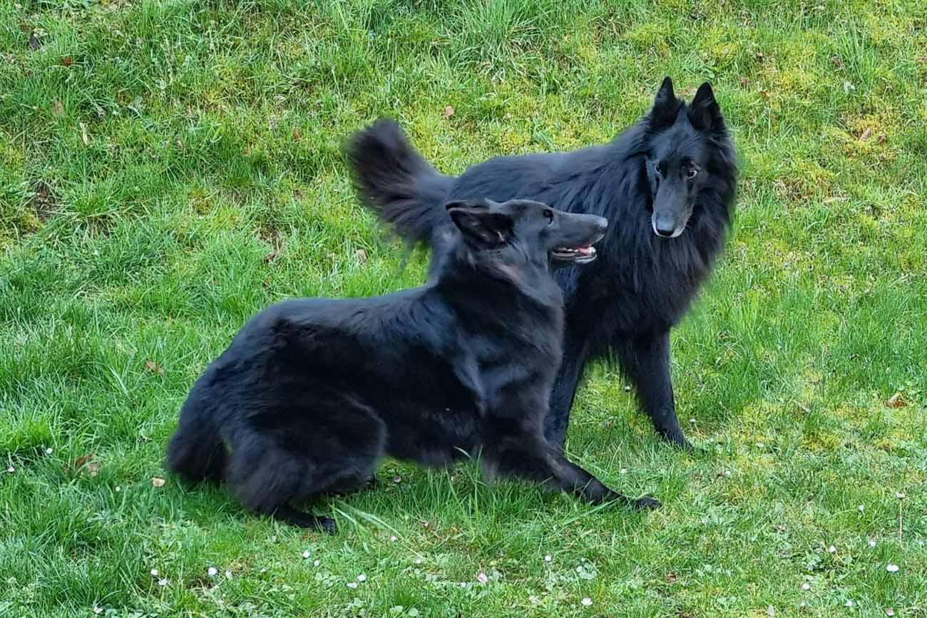 Alessi und Celia