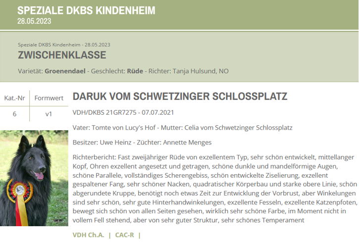 Daruk