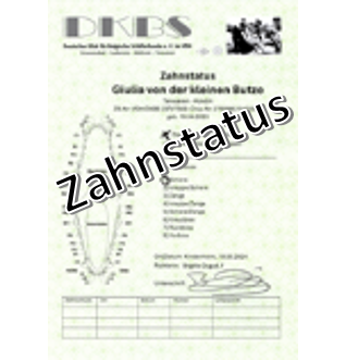 Zahnstatus