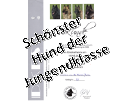 dna_profil