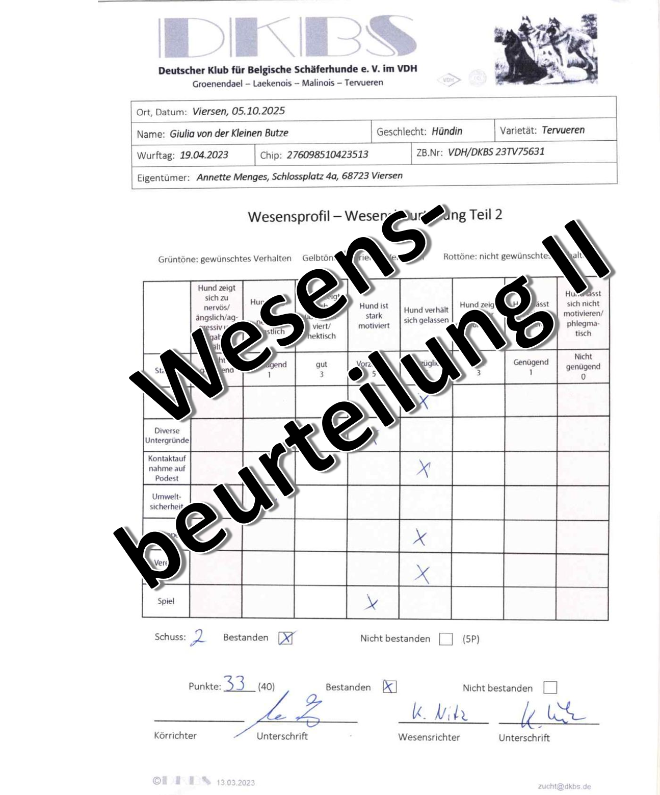 wesensbeurteilung_II