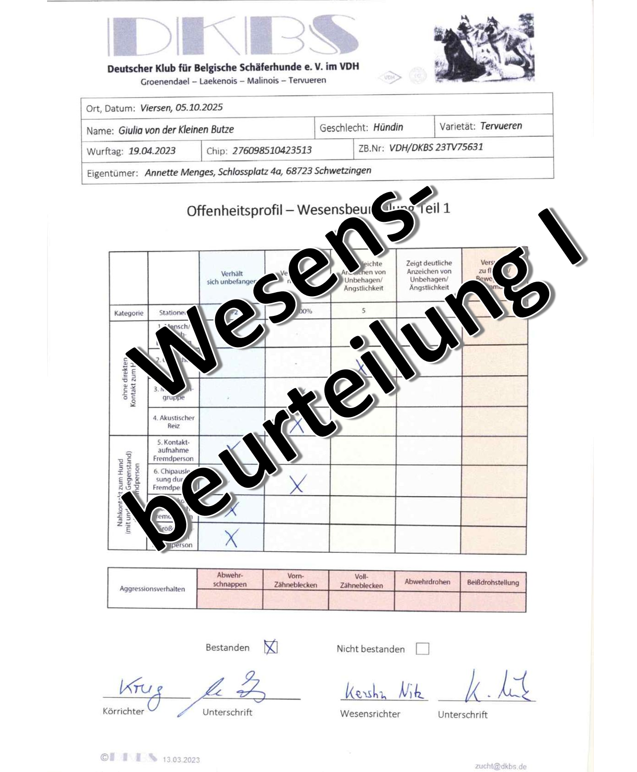 wesensbeurteilung_I